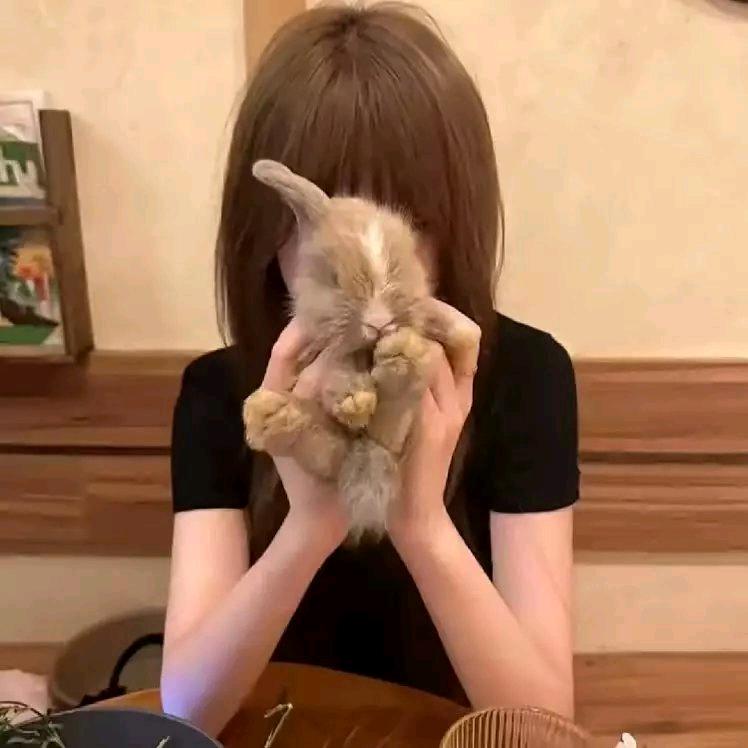 晚安