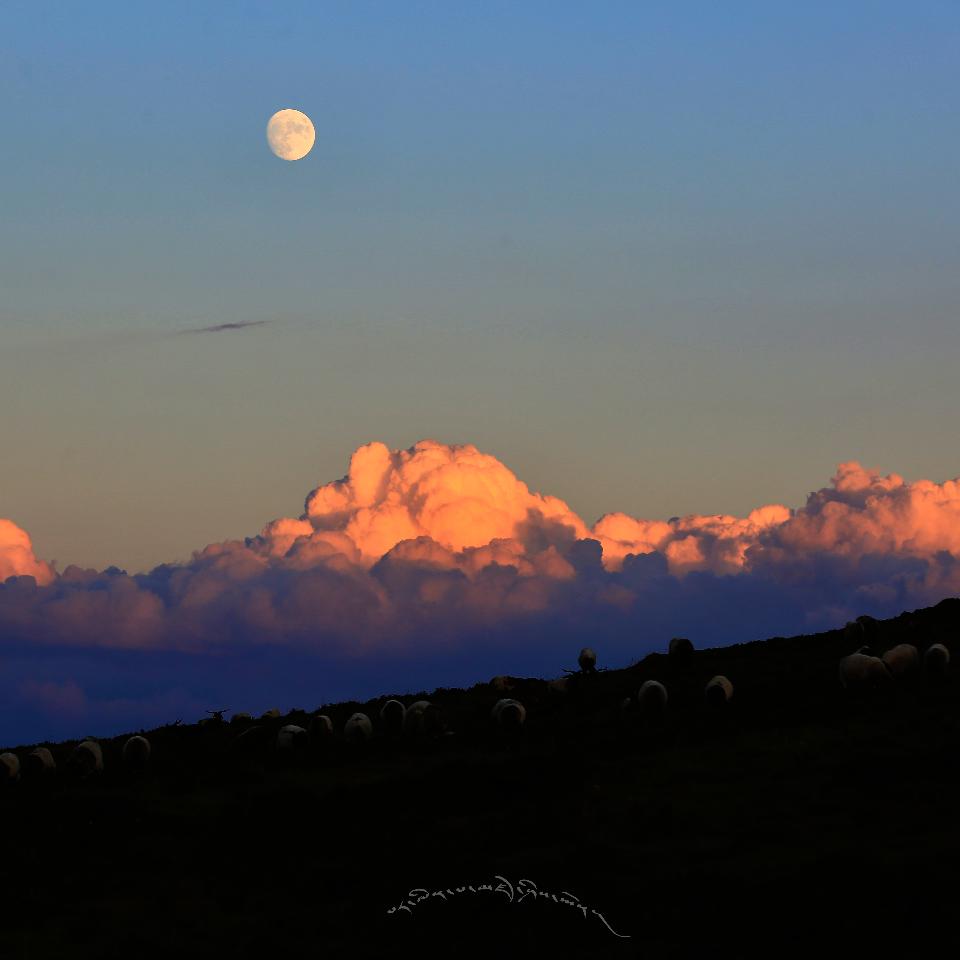 Nidan Gamtso (集梦116)