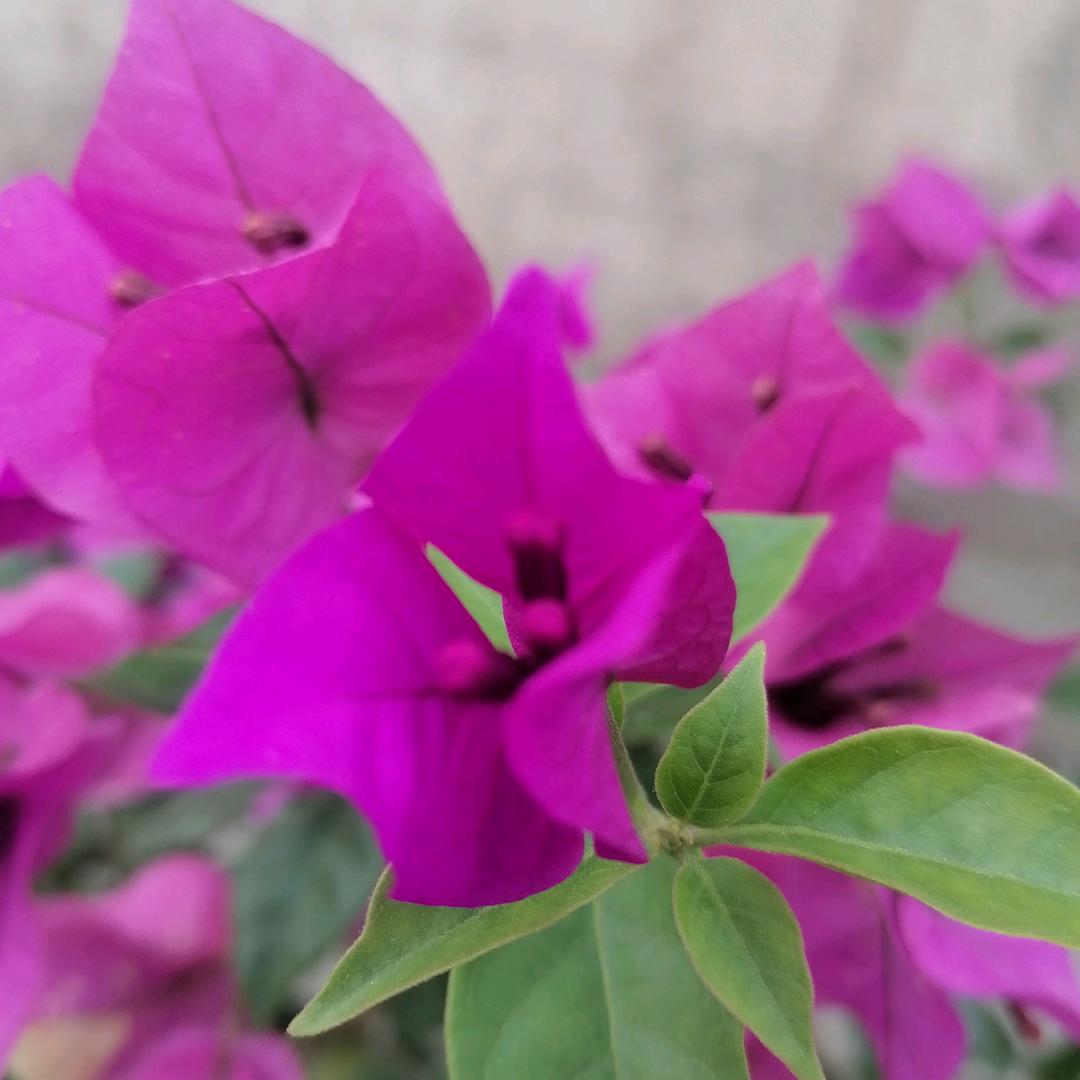 💞༊🌺ꦿ꯭零度꧔ꦿ᭄💞