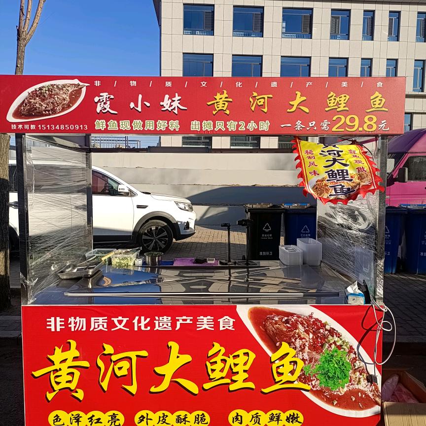 🐟霞小妹黄河大鲤鱼🐟
