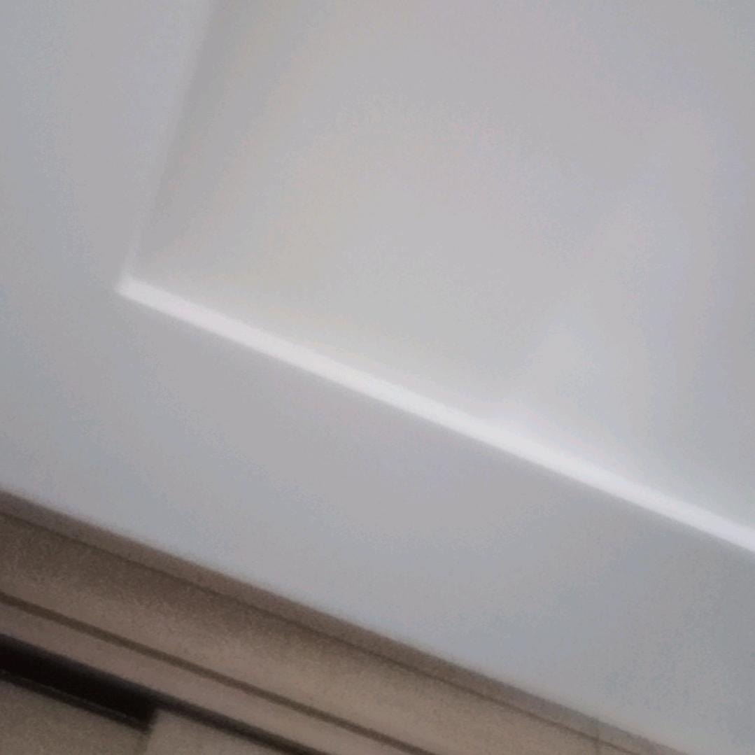 紫色玫瑰花🌸