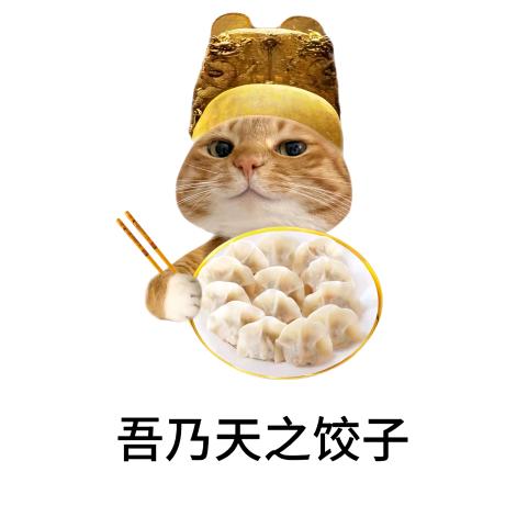 吾乃天之饺子🥟