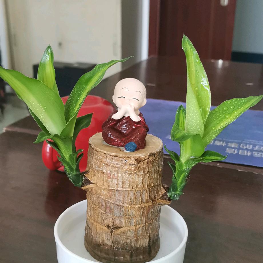 衣见倾心 1店