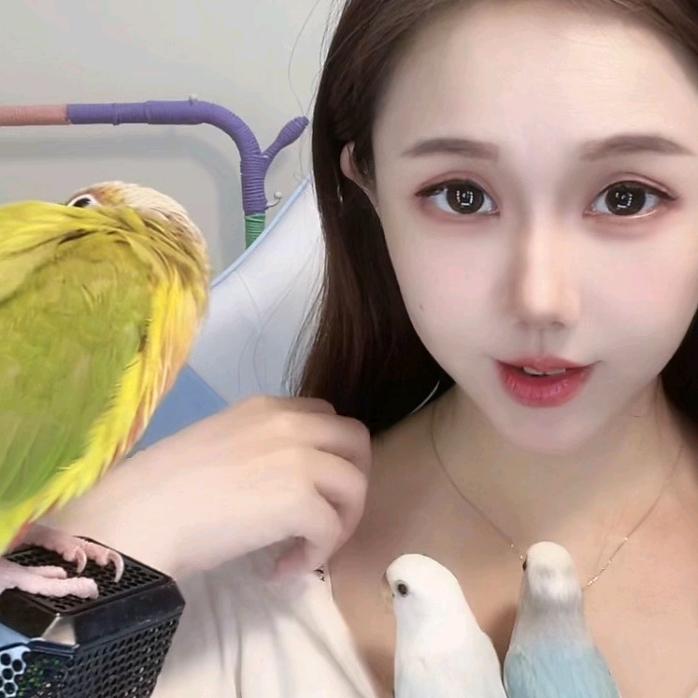 鱼炫