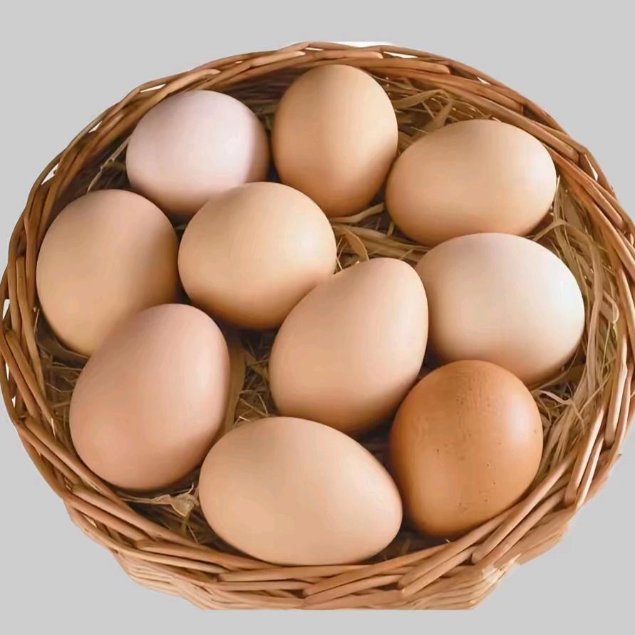 无抗鲜鸡蛋👉派道