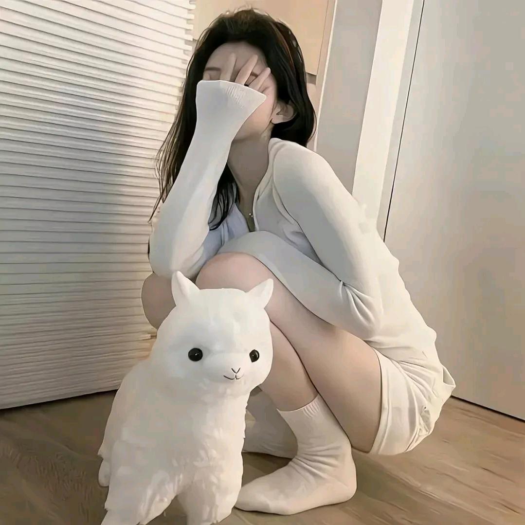 猫猫柔💕