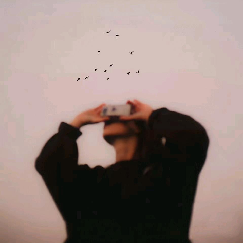 Fʀᴇᴇᴅᴏᴍ.