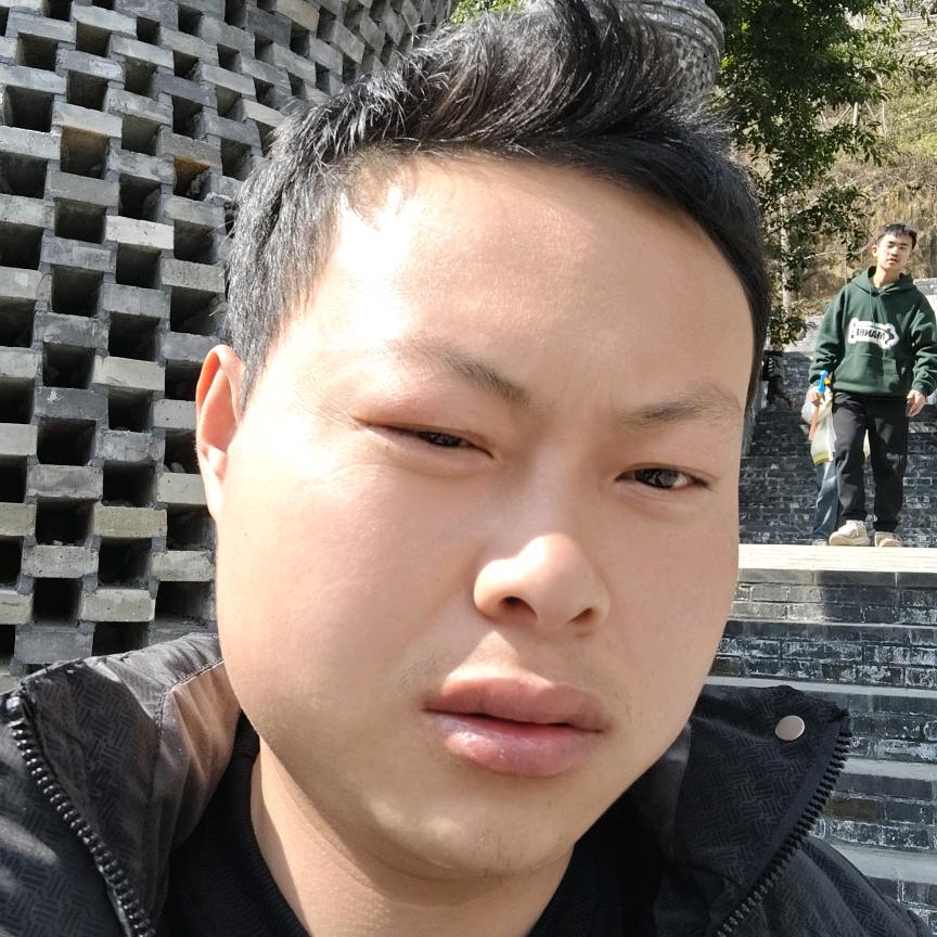 杨侄金