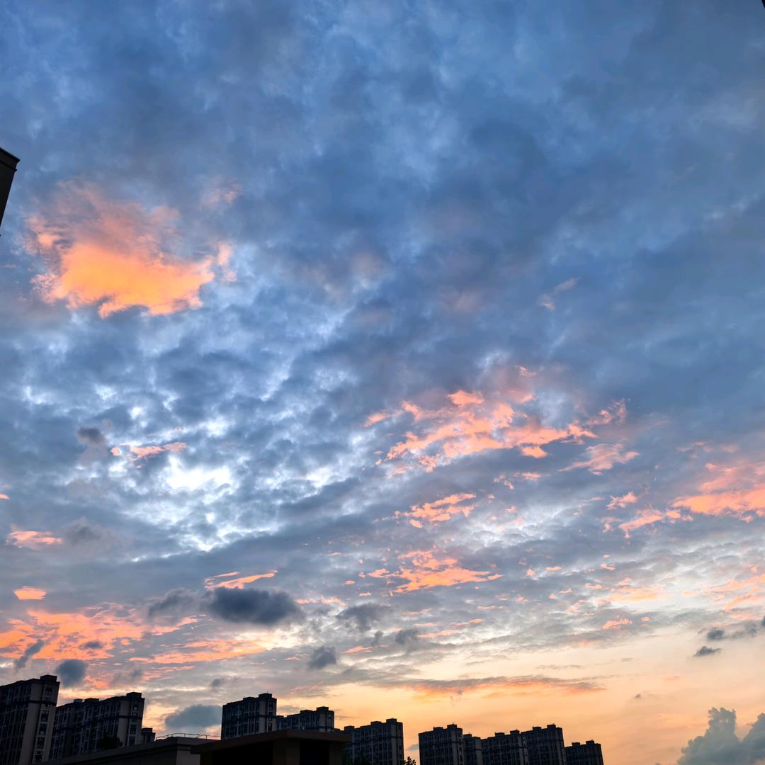甲白