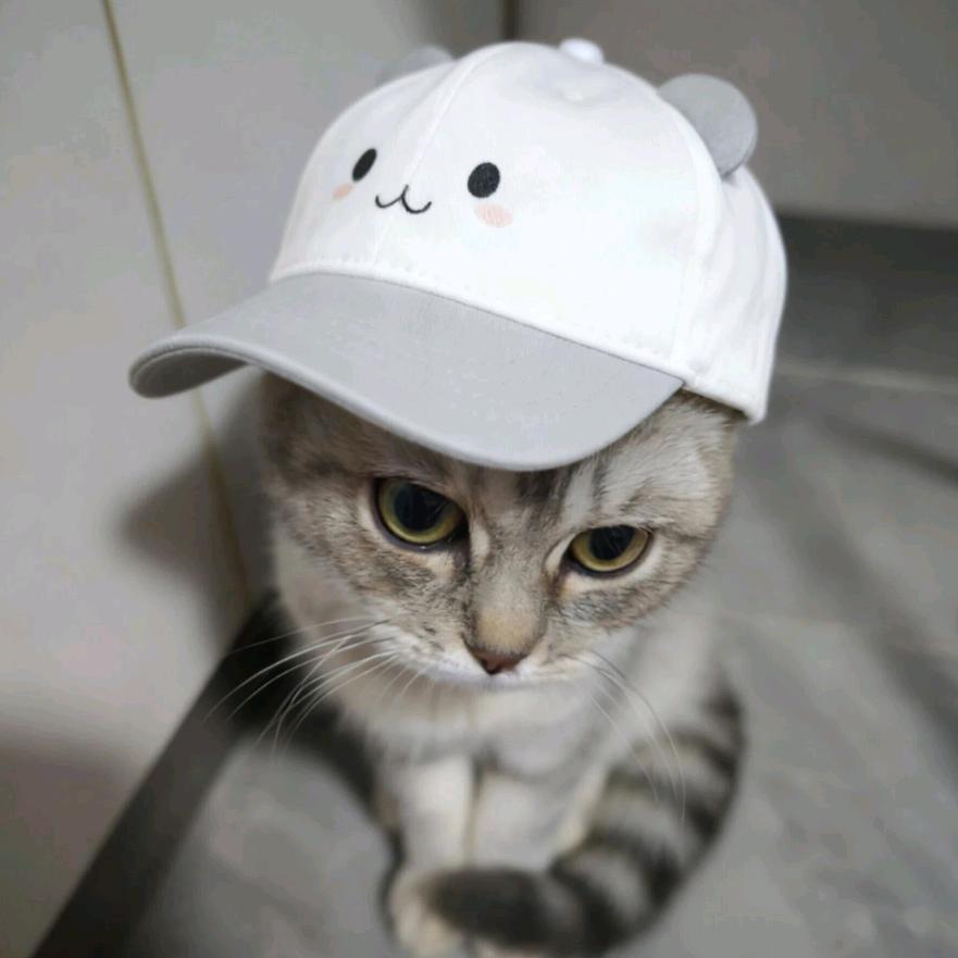 通知