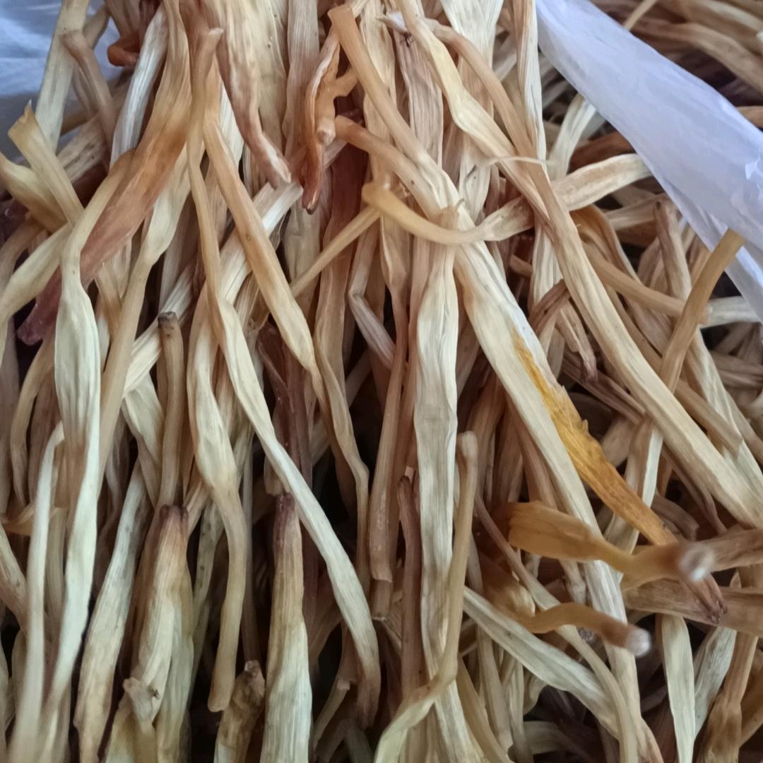 （大同)新梅黄花菜