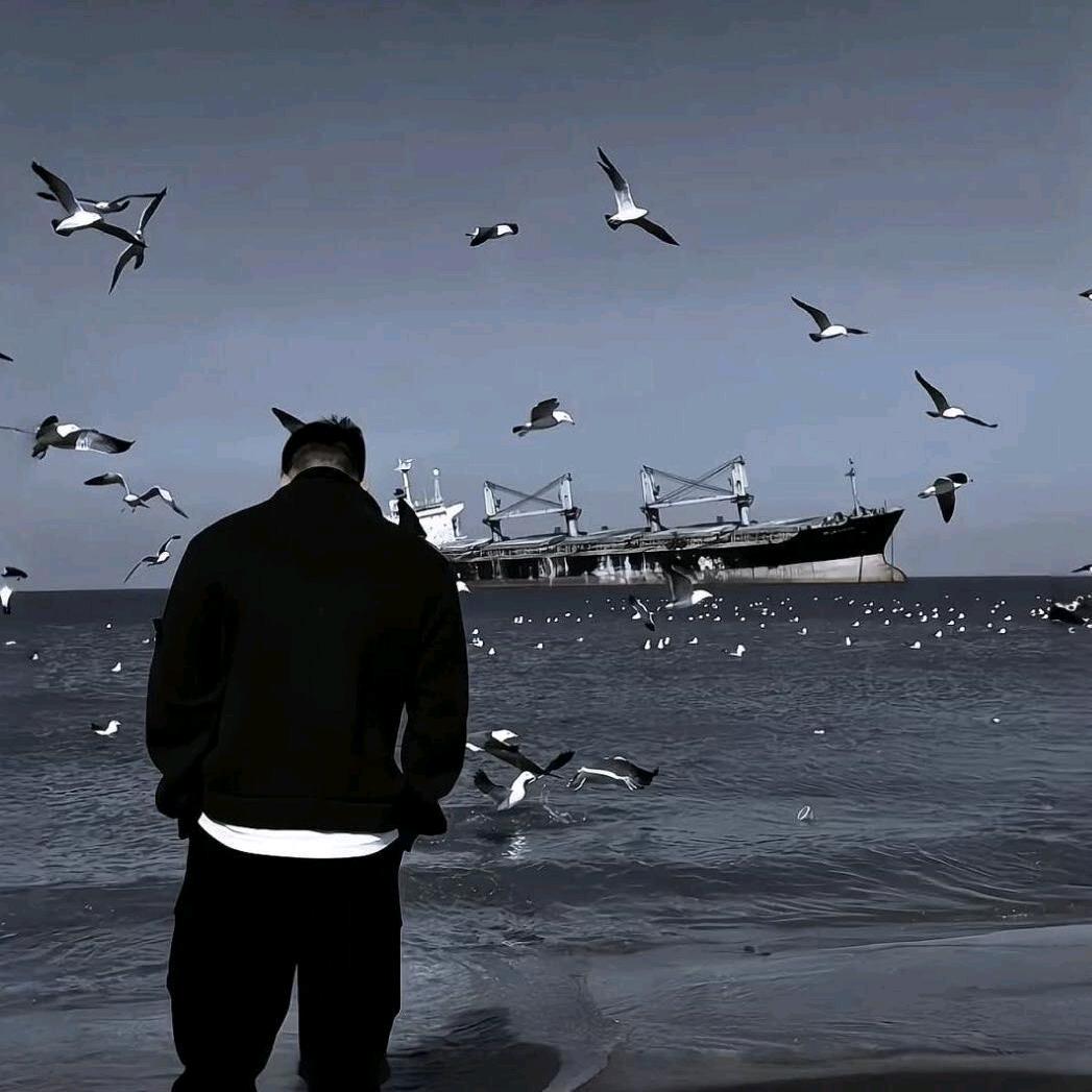 聊城杰安车辆运输服务有限公司