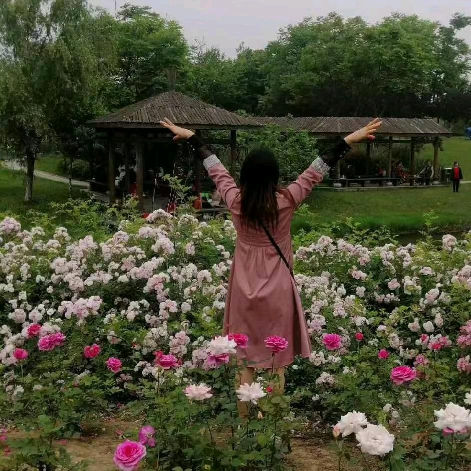 落叶知秋
