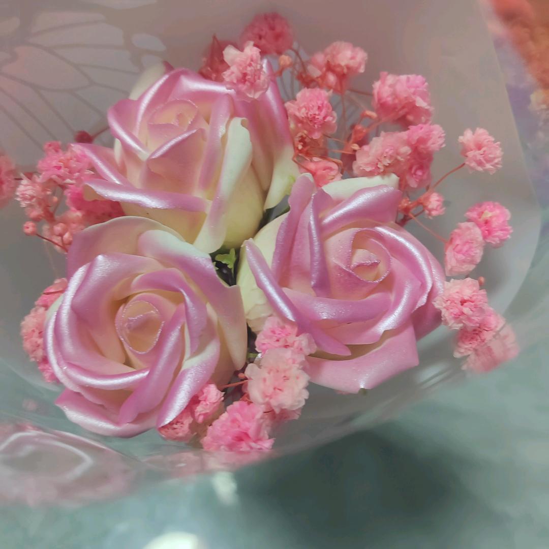 菲琪儿熙博