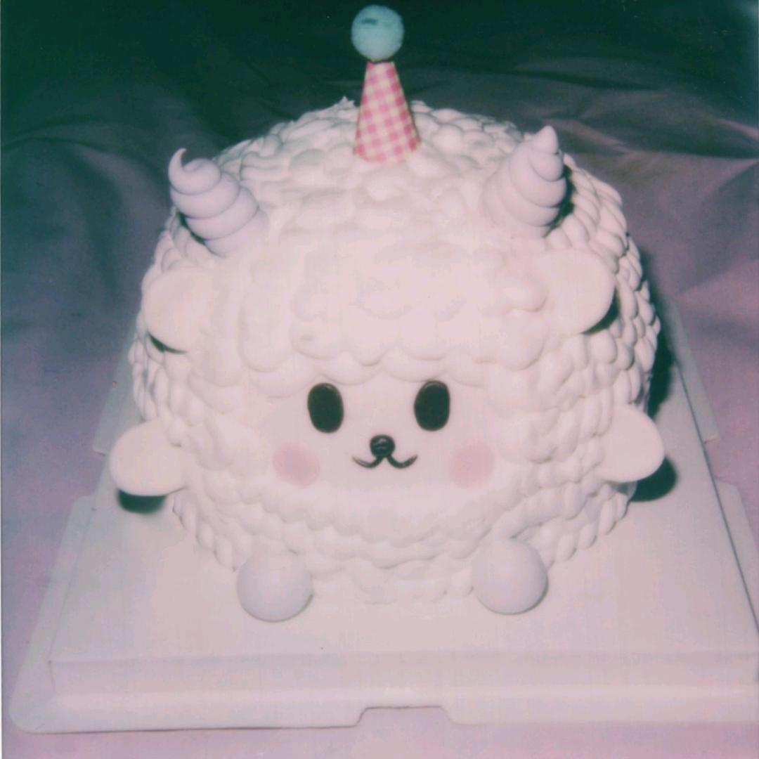 小🐑𓆡𓆝𓆜𓏸𓂂𓈒