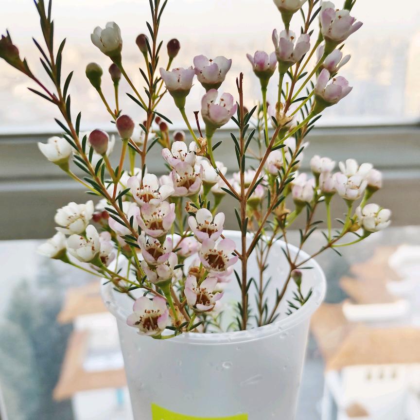 晋城睿康教育全托主理人