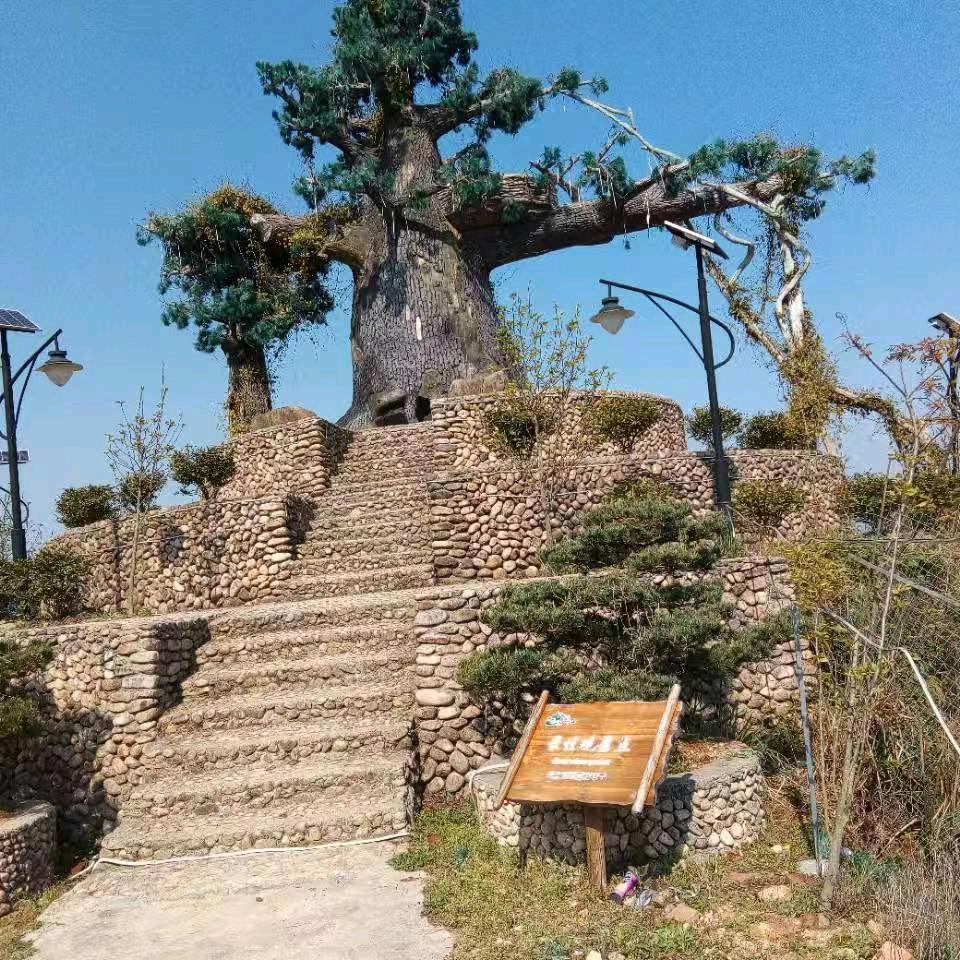 啊峰