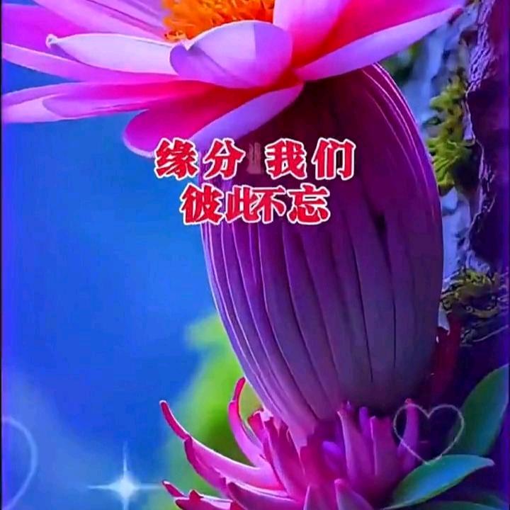 缘分，我们彼此不忘