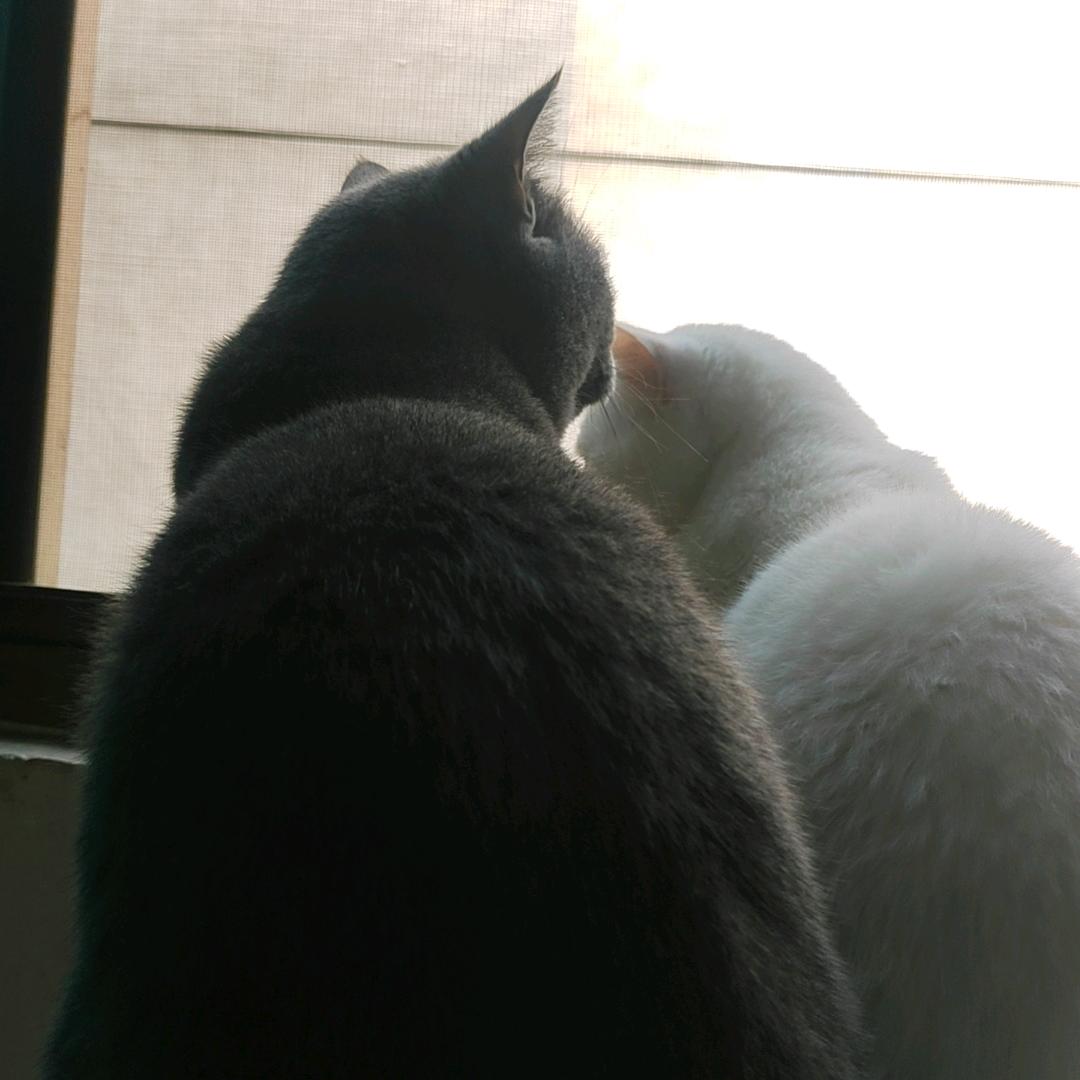 💞💞余生🍀&随心🌹🌹