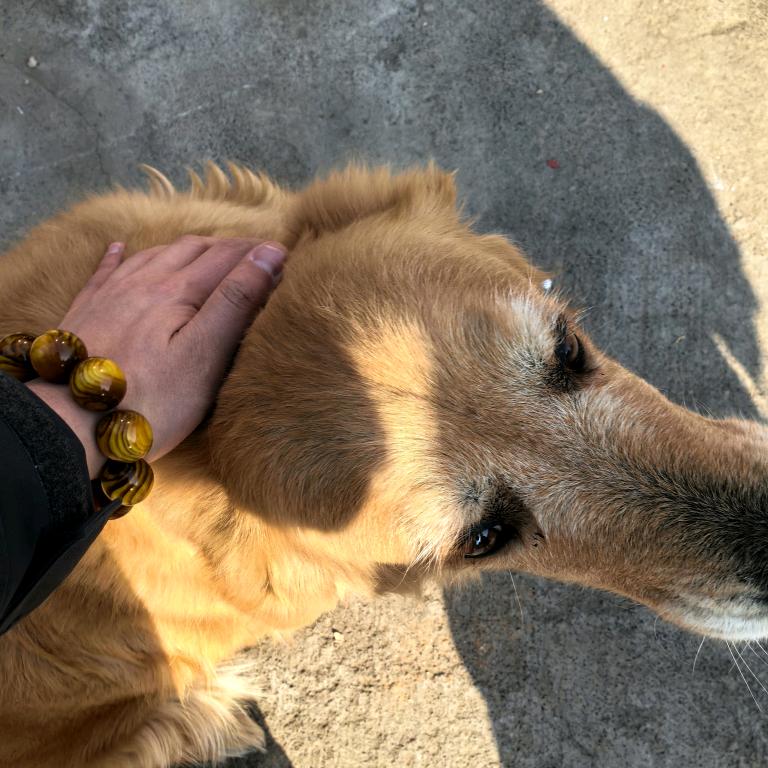 不留余力问昆仑