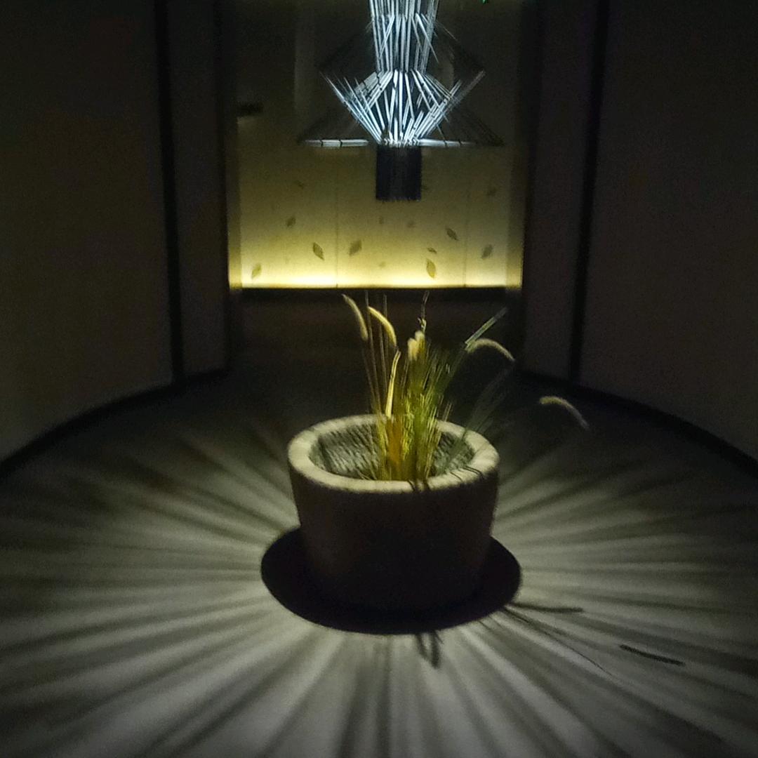 亦乐亦静柔式Spa会馆