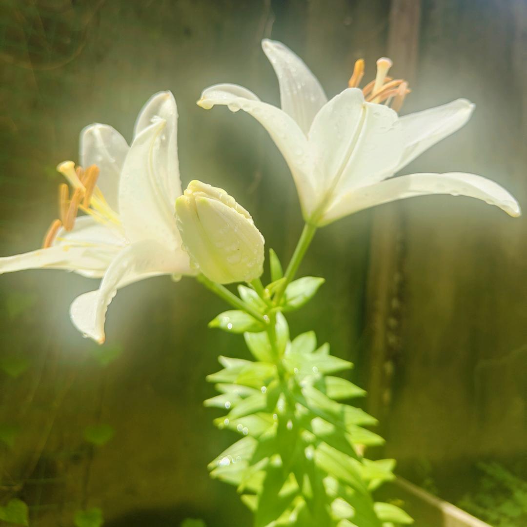 瑞斯服饰工厂店