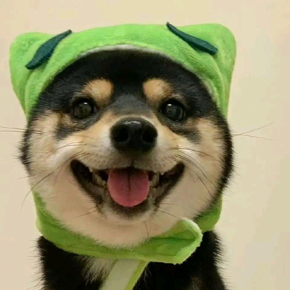 刘伯钧🥴