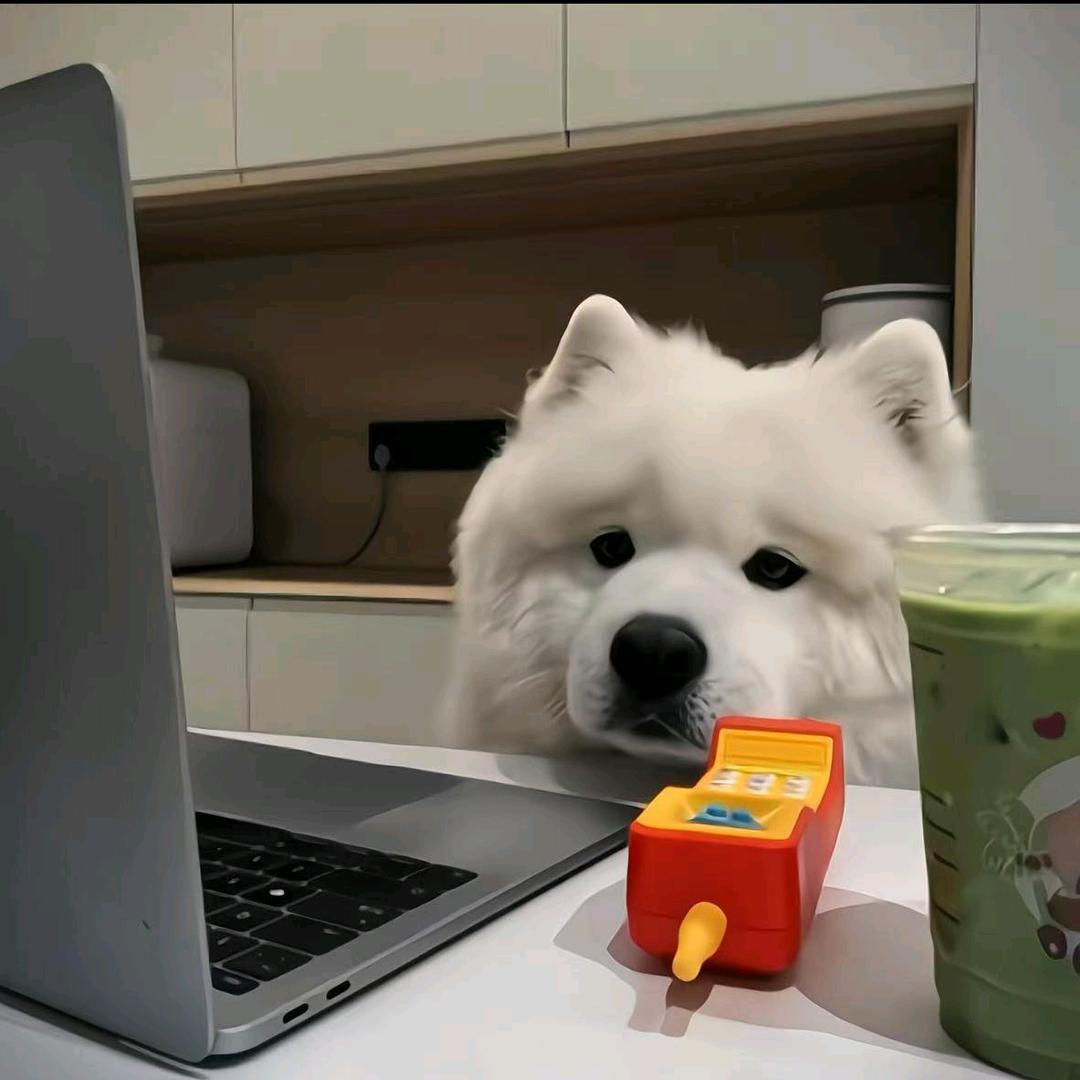 雾间遇你。