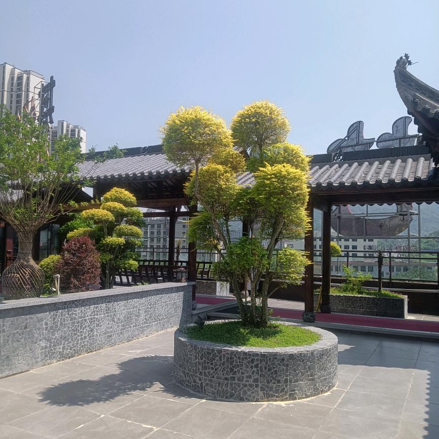 吴秀珍