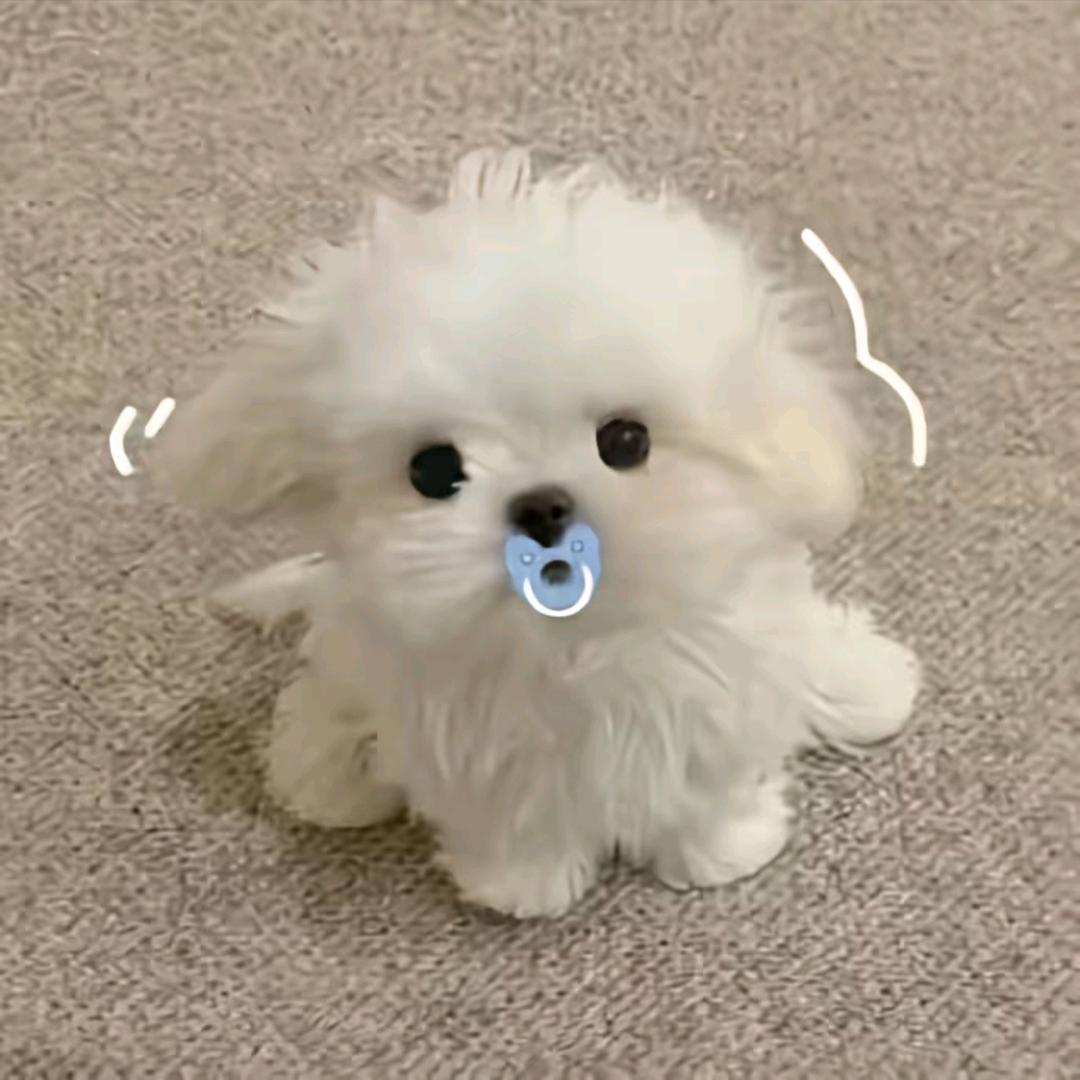 暖一杯茶