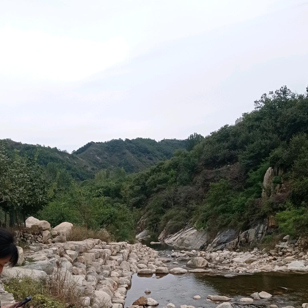 精典泰山