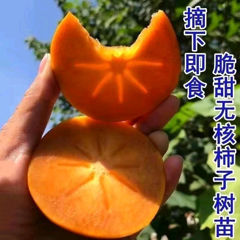 蝶趣韵花果树苗木专卖店