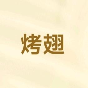 重生之我在双碑卖烤翅