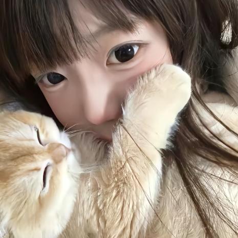 憨憨不睡觉要秃