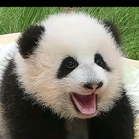 如烟