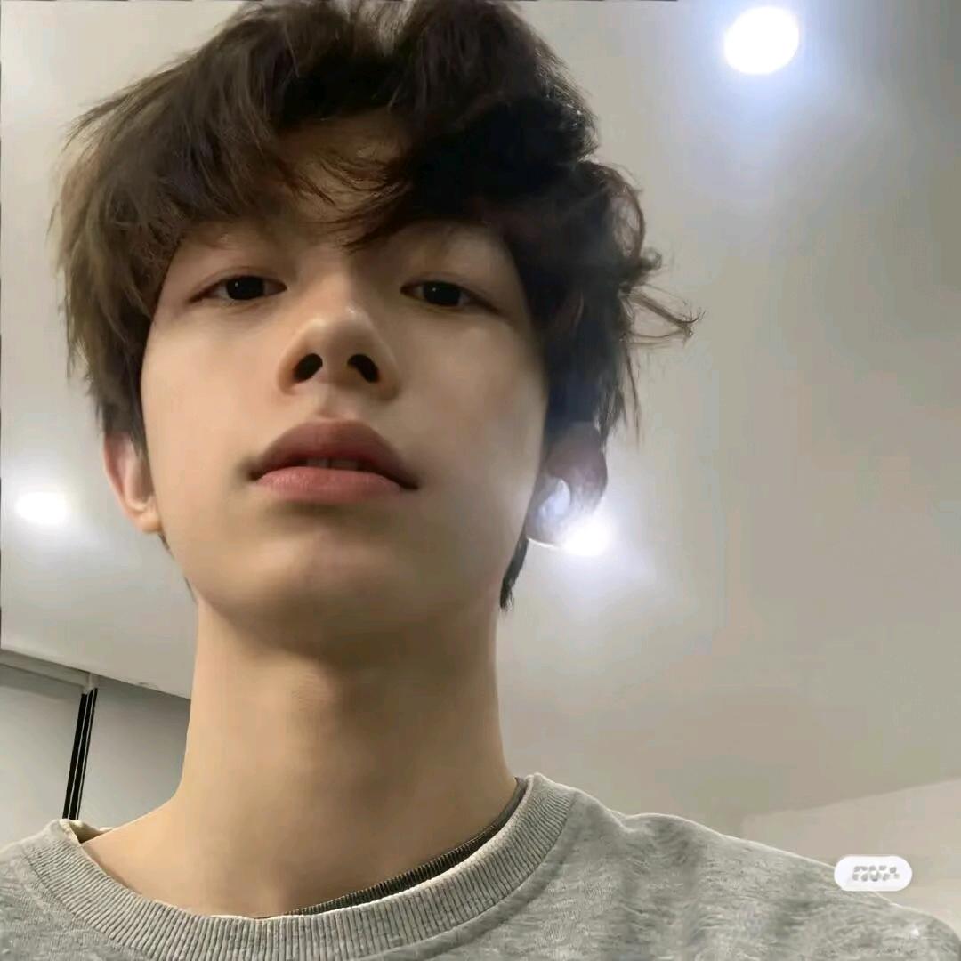 Q晨宇