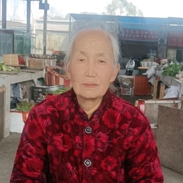 老开心    ：  早上十点半开播
