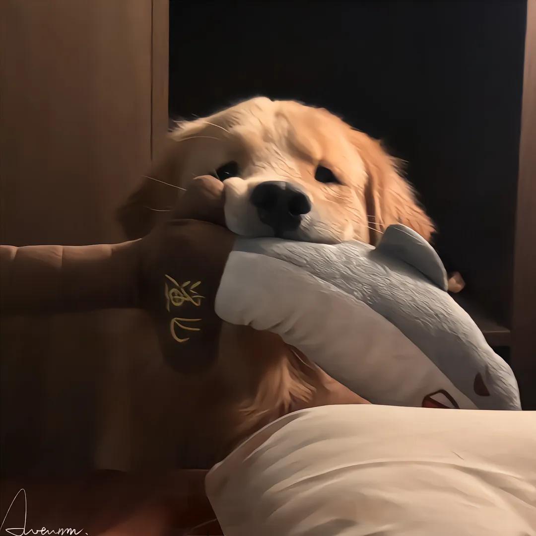 @记得小陈