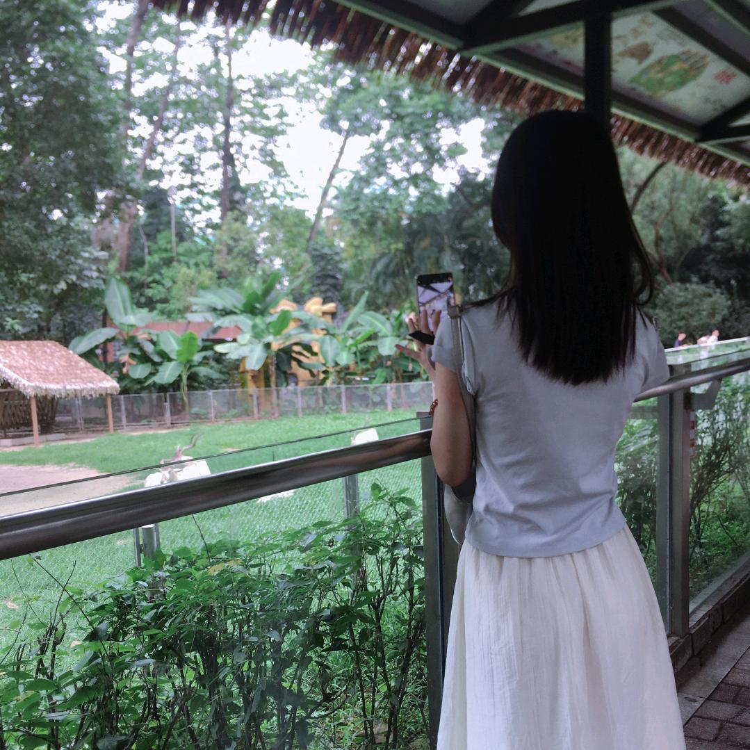 钱钱四面八方来