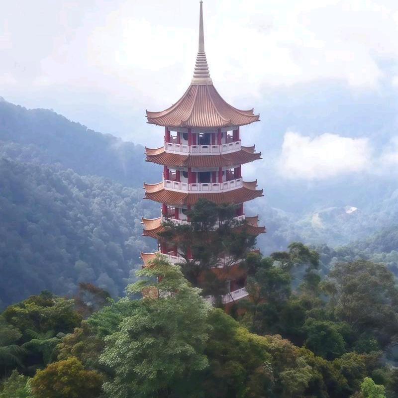 民间好物