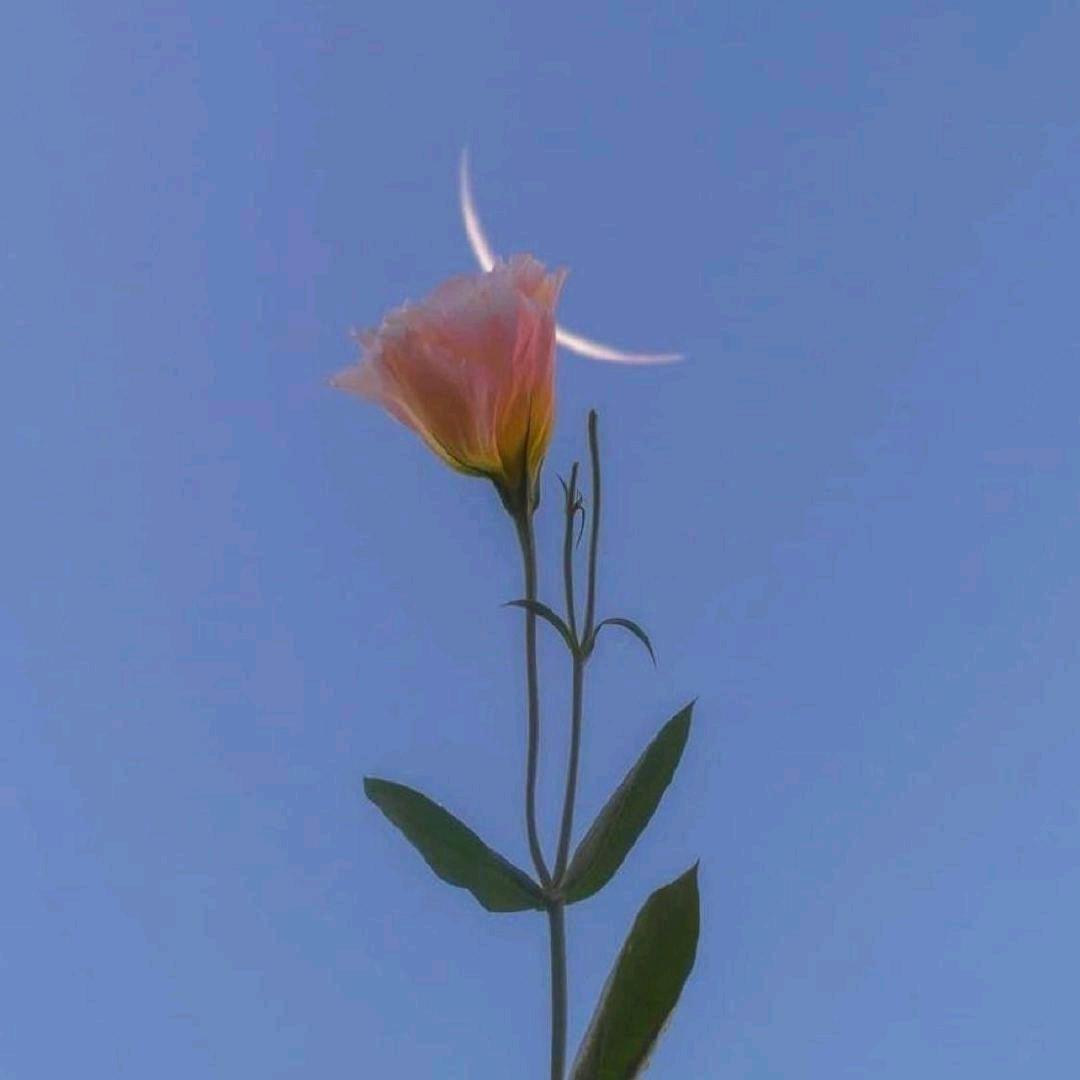 瑜