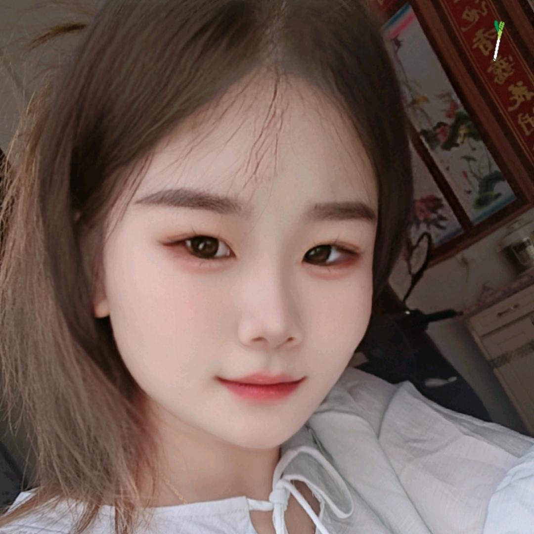 木槿昔年