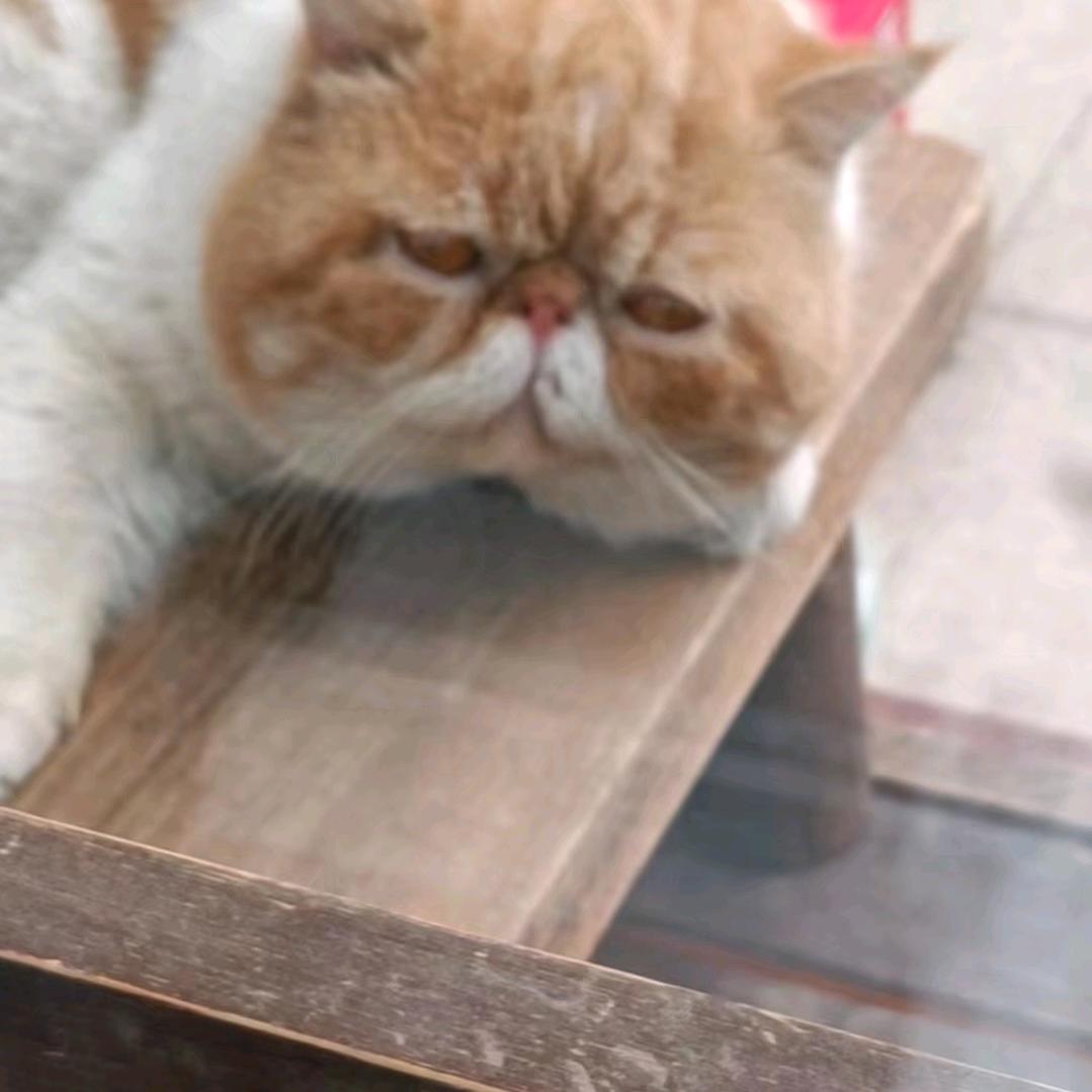 潜鳞
