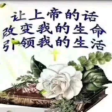 陈住气美女