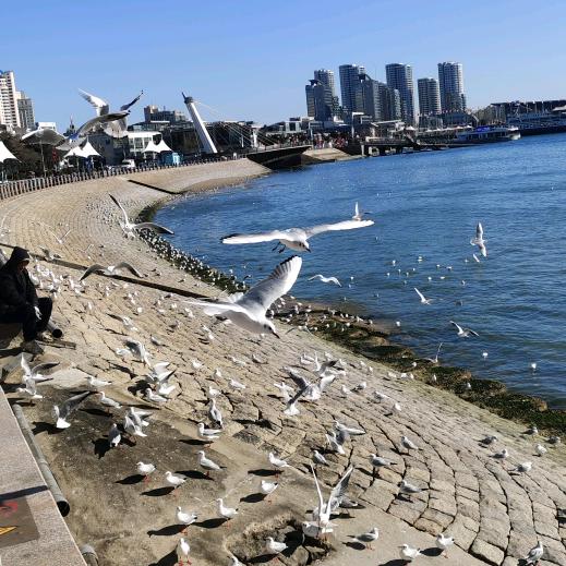 ❦赶❦路❦人❦