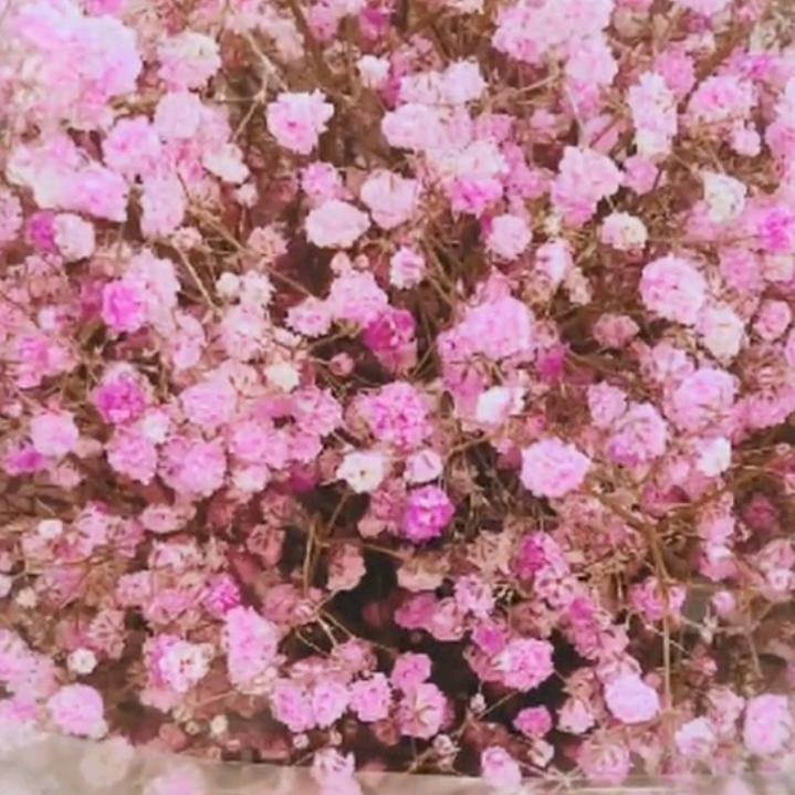 秋哥🌹🌹🌹爱上小水杯