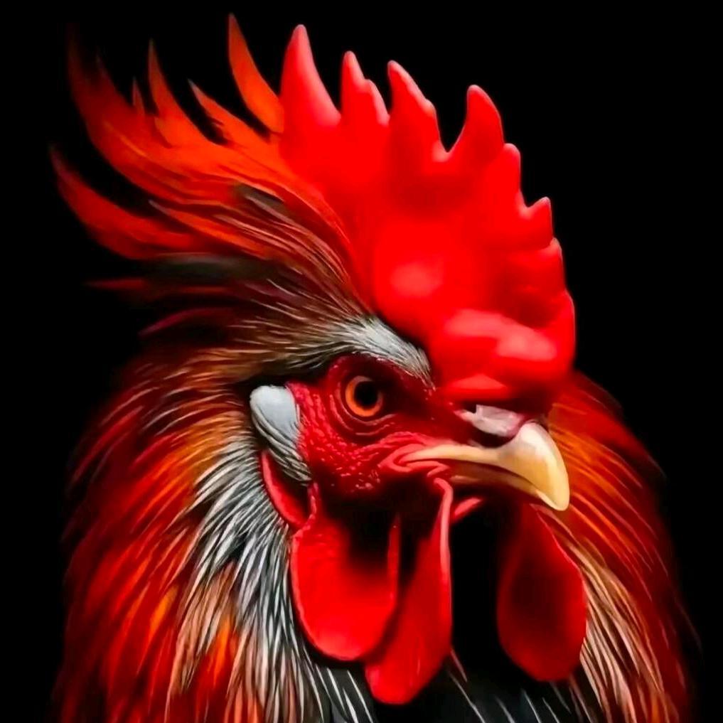 陈氏荔枝柴烧鸡