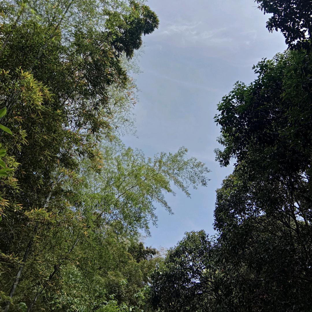 禅：人生