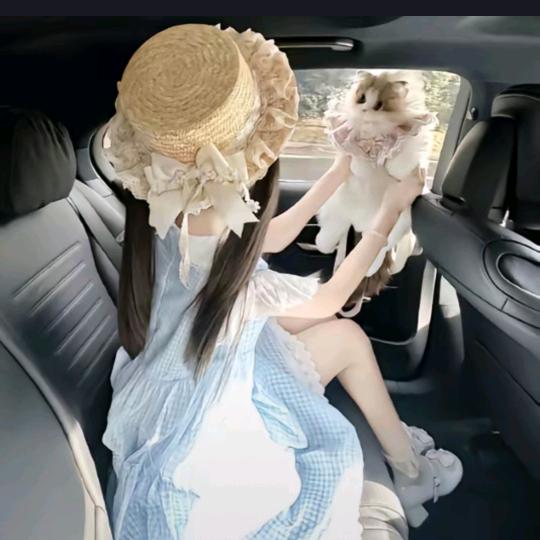 允许你叫我希希、