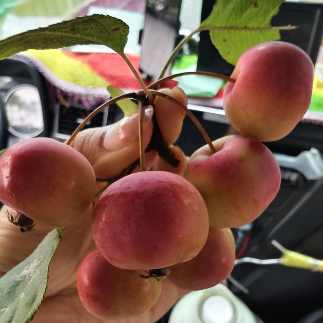 ꒰ঌ二姐✧໒꒱
